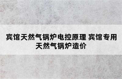 宾馆天然气锅炉电控原理 宾馆专用天然气锅炉造价